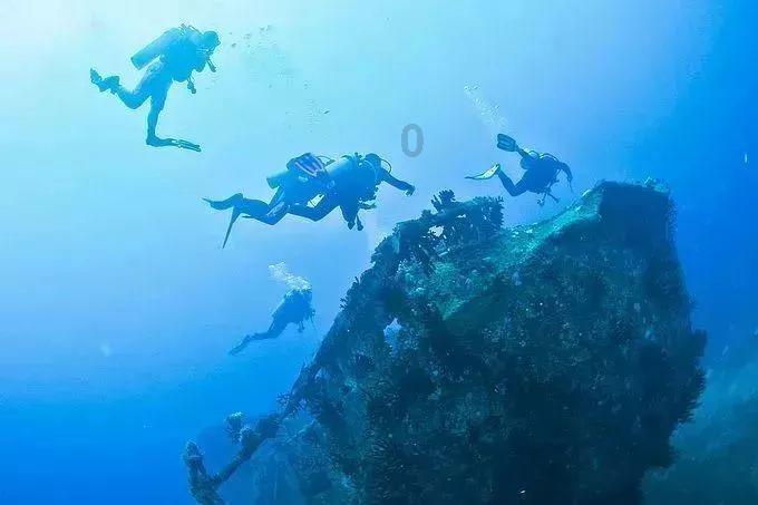 职场中事故圆滑的人和正直不虚伪的人，哪个更容易成功？游戏画面