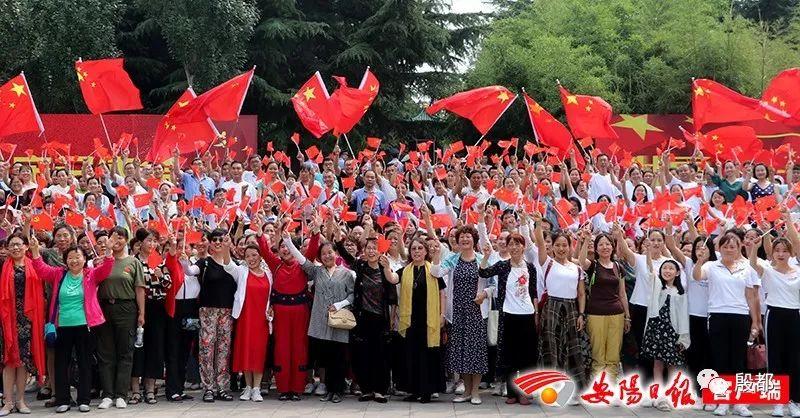 破碎的动物图形3